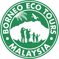 Borneo Eco Tours Logo